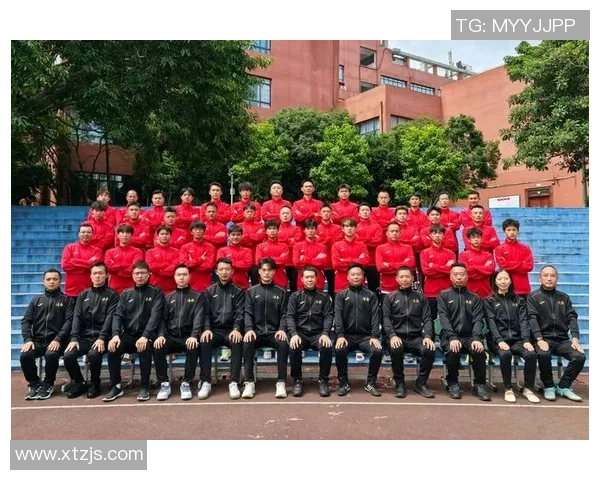 重庆足球队的战术风格与球迷热情的深度剖析与展望